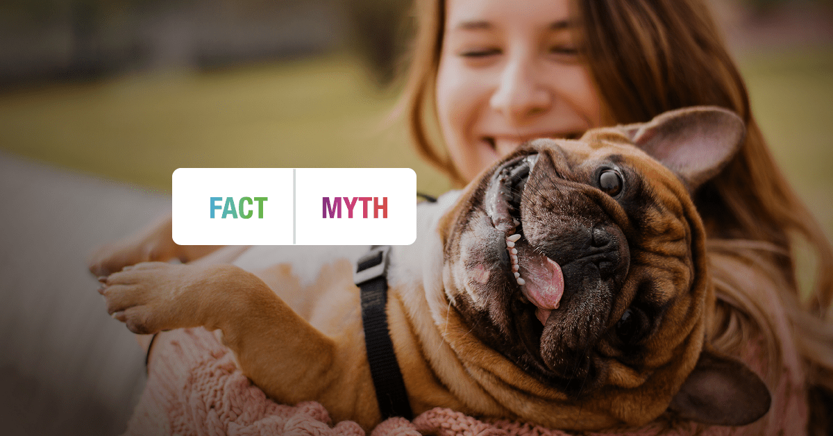 The Different Sloth Species And The Diseases They Carry MudFooted