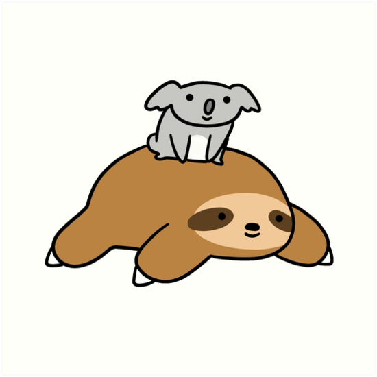 The Differences Between Sloths And Koalas MudFooted