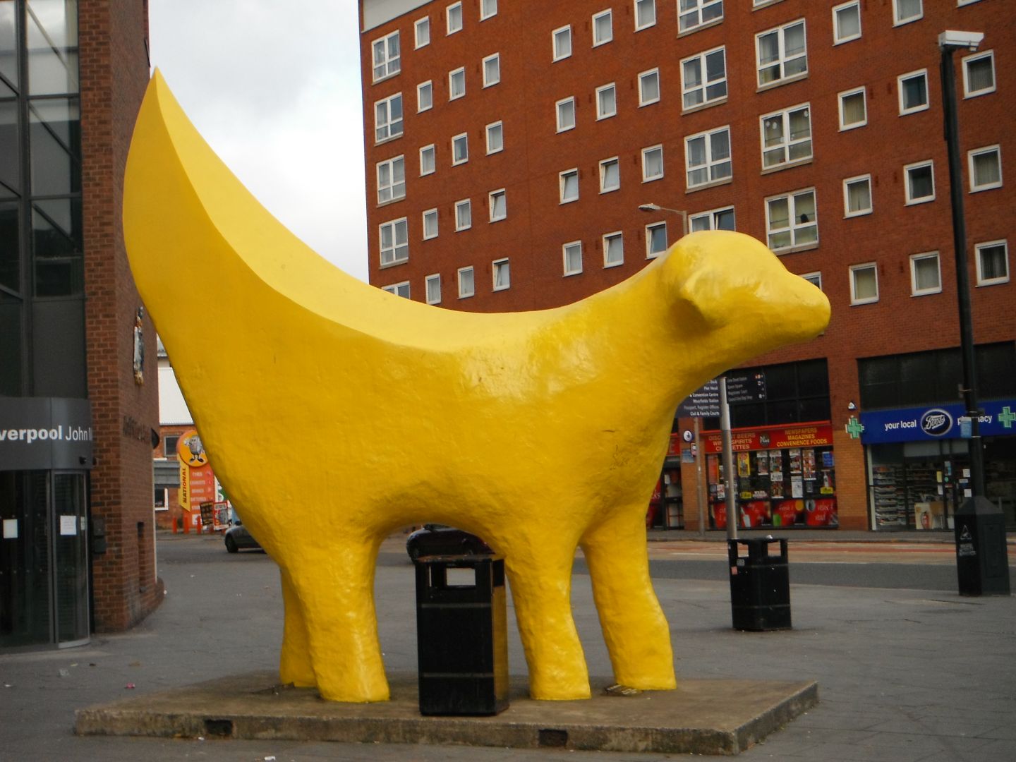 Photo study Banana Dog, Liverpool, / myLot