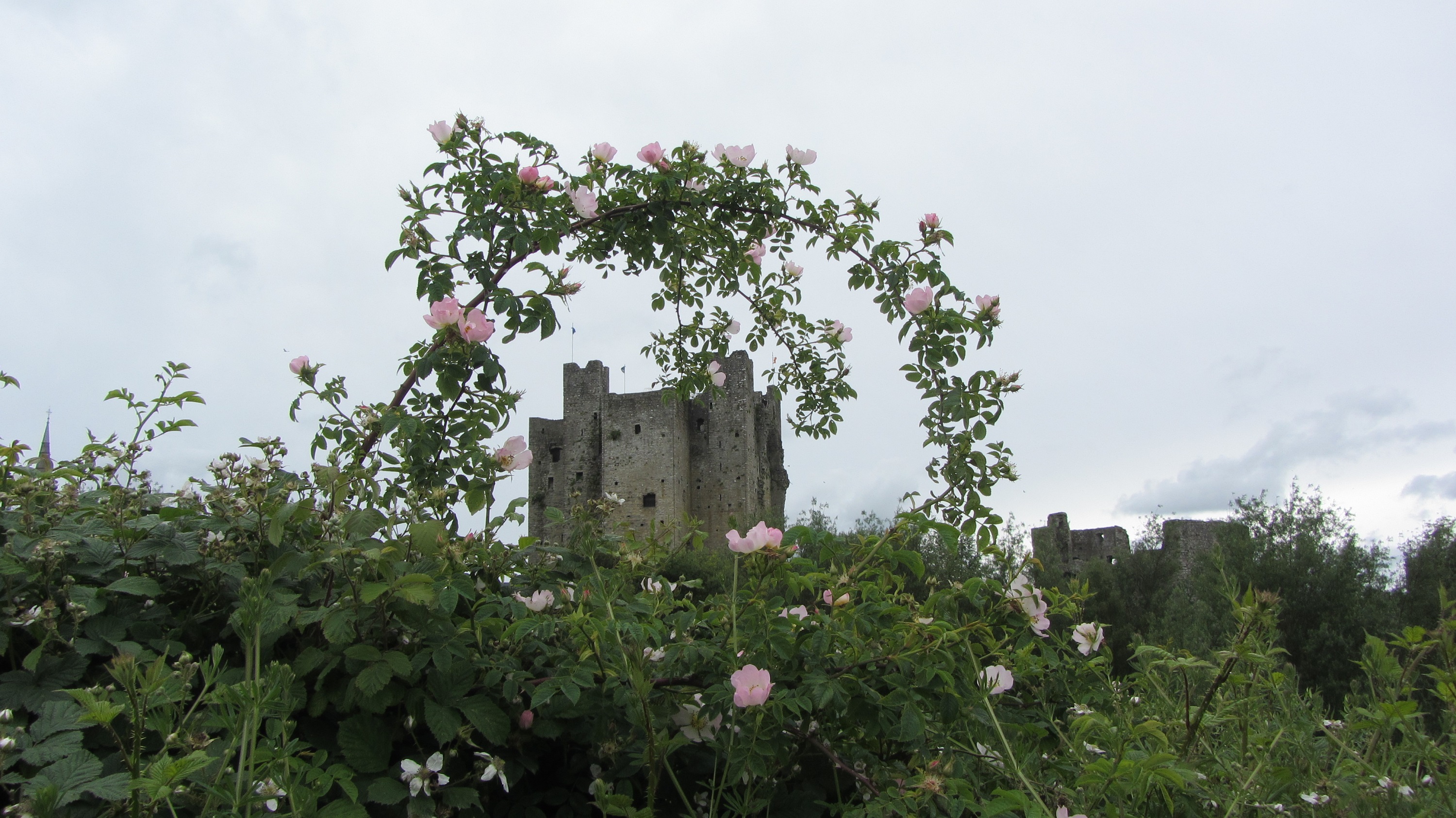Trim Castle the setting for Braveheart / myLot