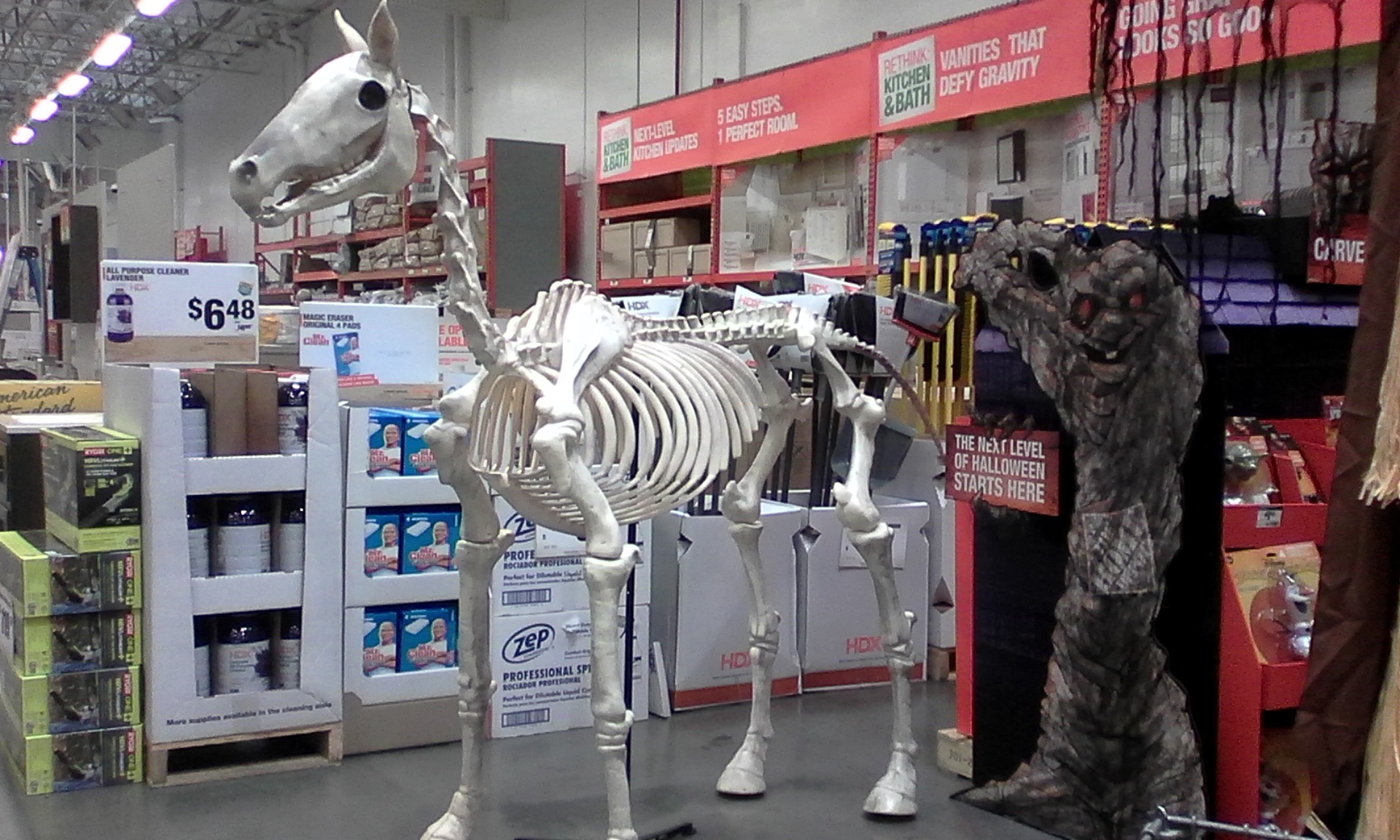 Halloween Horse Skeleton at the Local Home Improvement Store / myLot