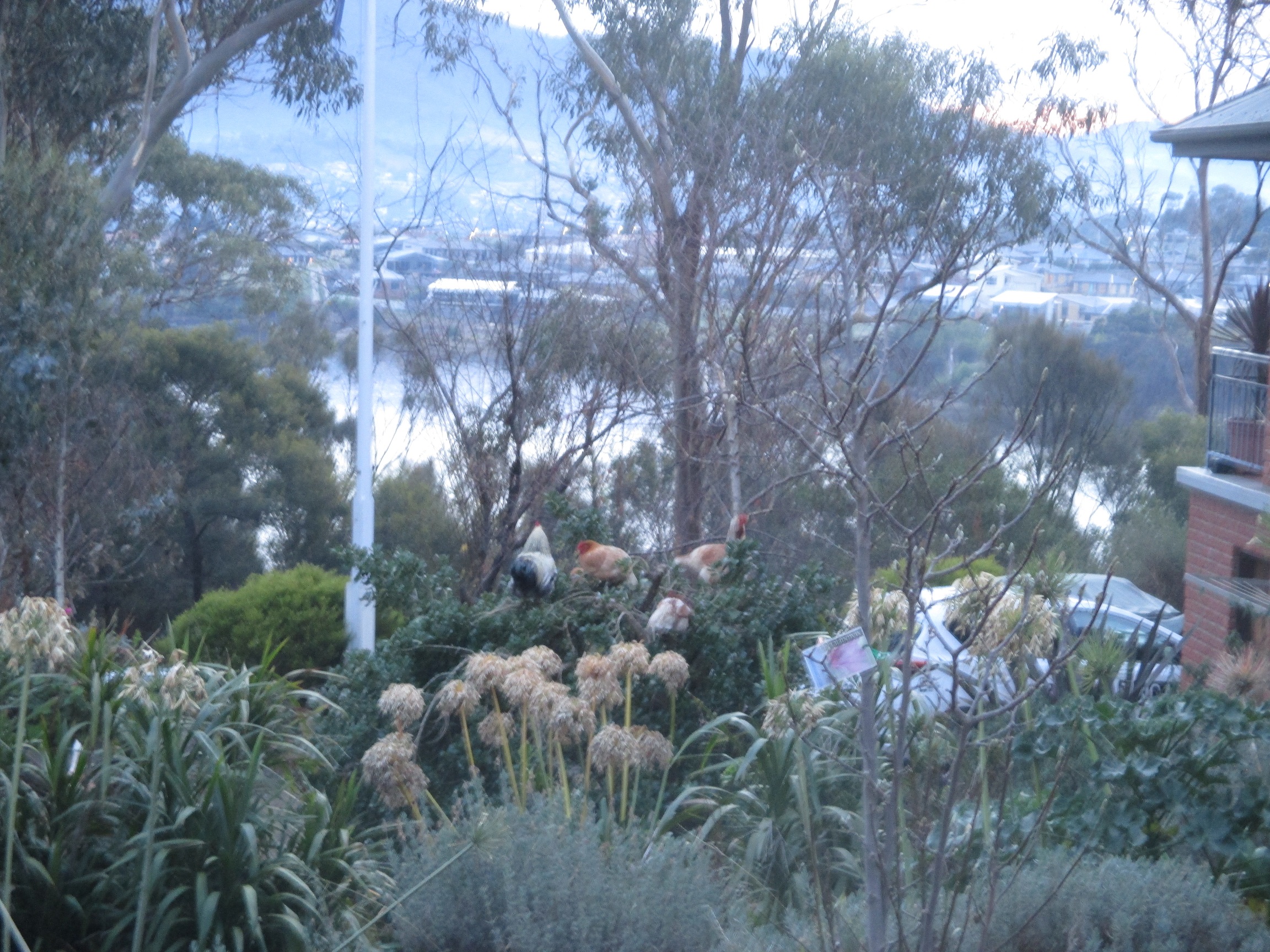 Snug in Snug, Tasmania / myLot