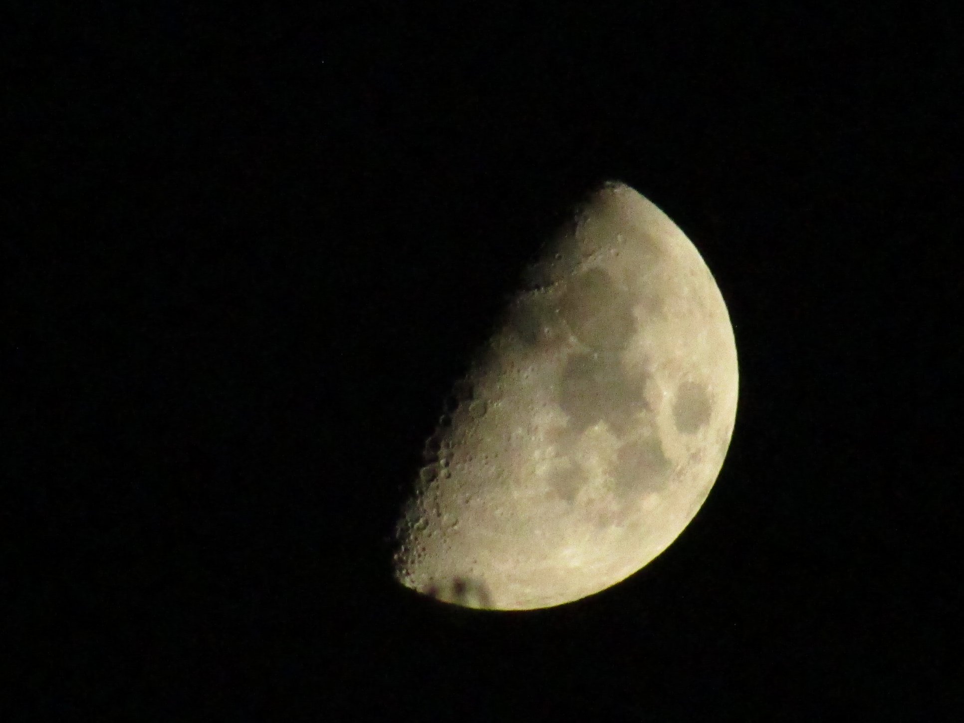 Halfmoon moonshot / myLot