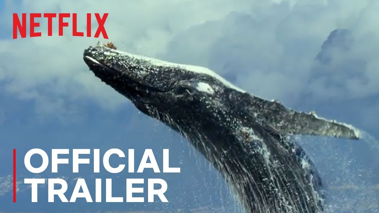 Netflix Documentary Our / myLot