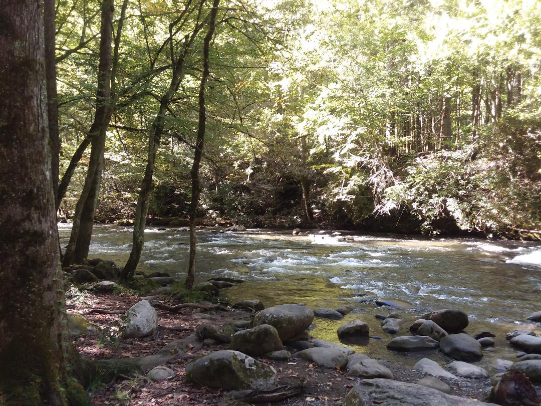 Little Pigeon River / myLot