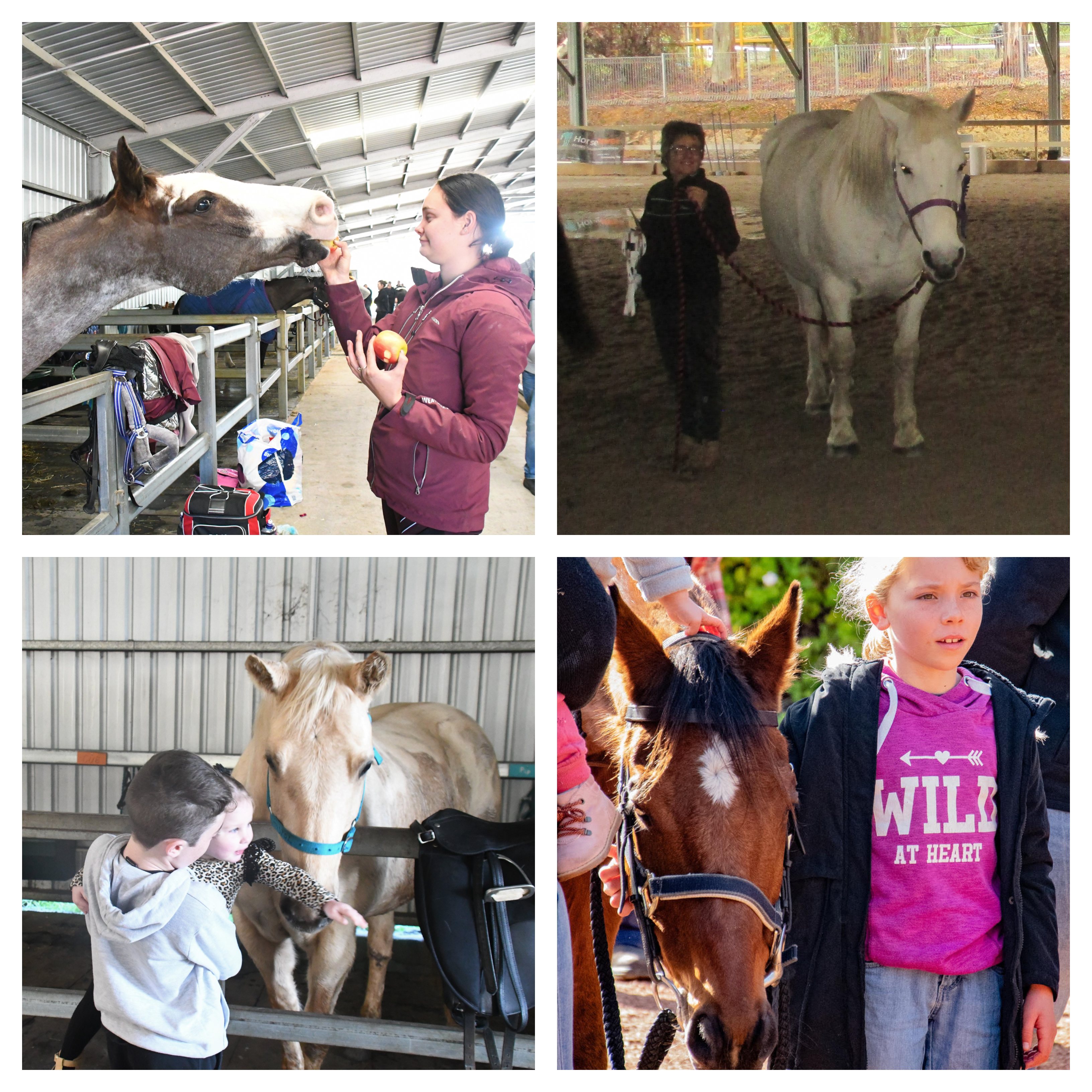 More photos from Collie, Western Australia / myLot