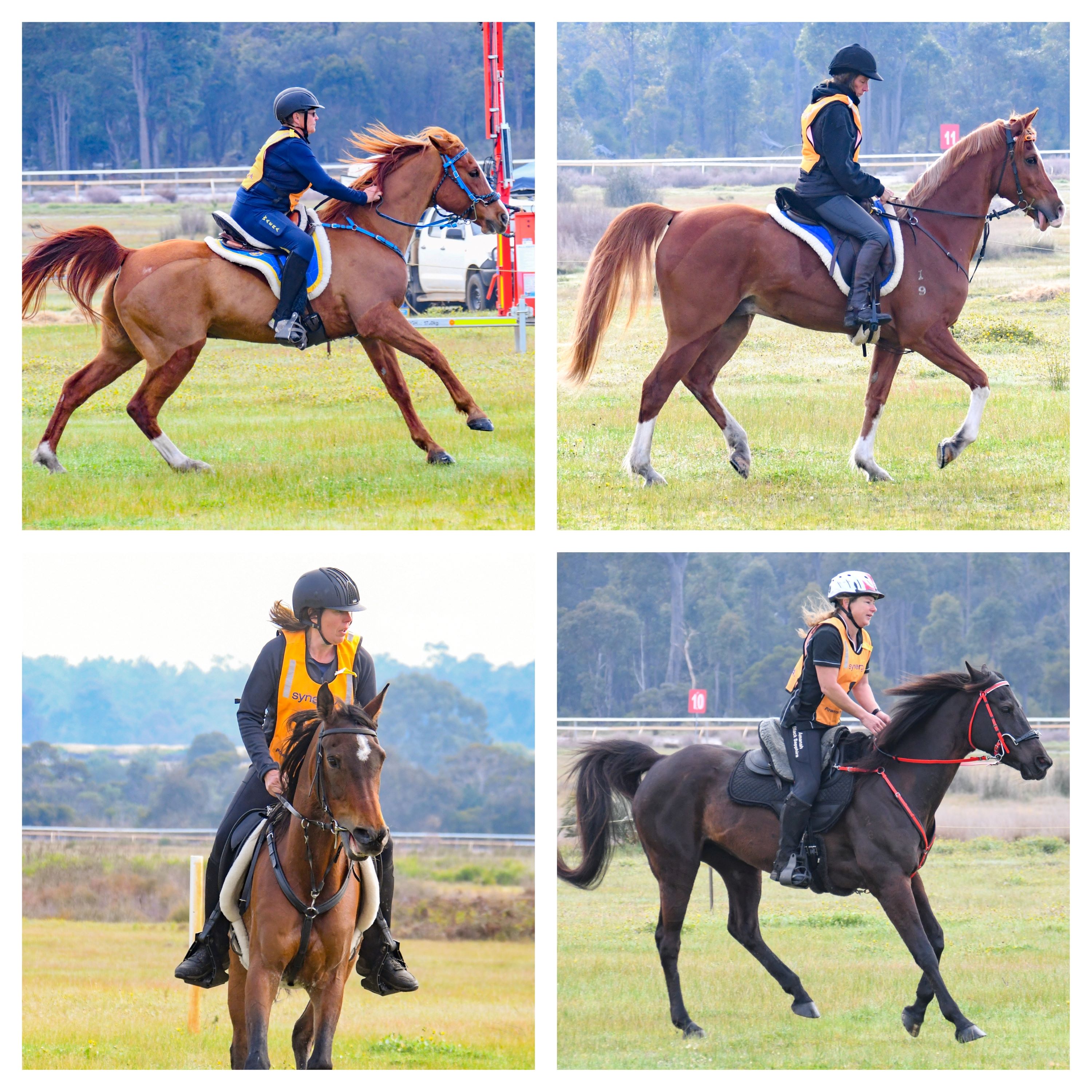 State Championship Endurance Ride, Western Australia / myLot