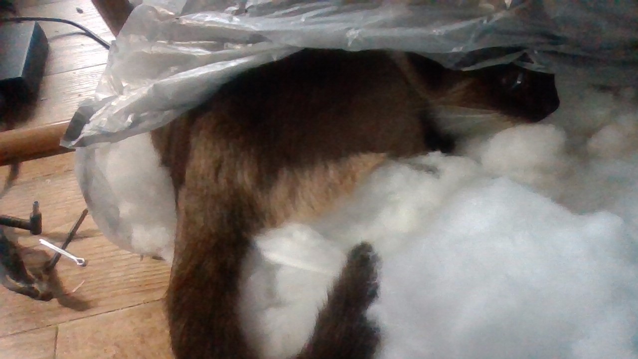 Plastic bags and stuffing.... / myLot