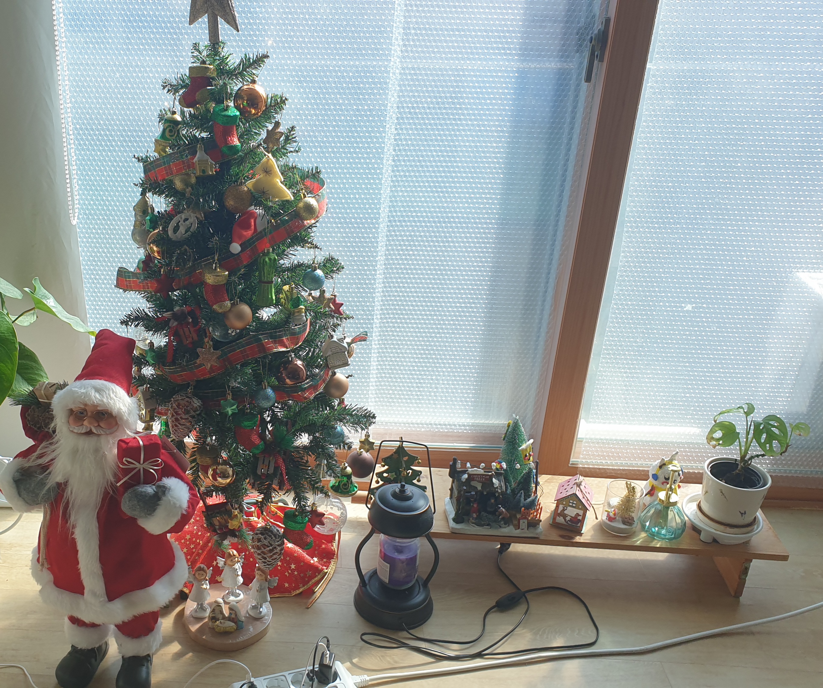 Taking Down the Christmas Tree. / myLot