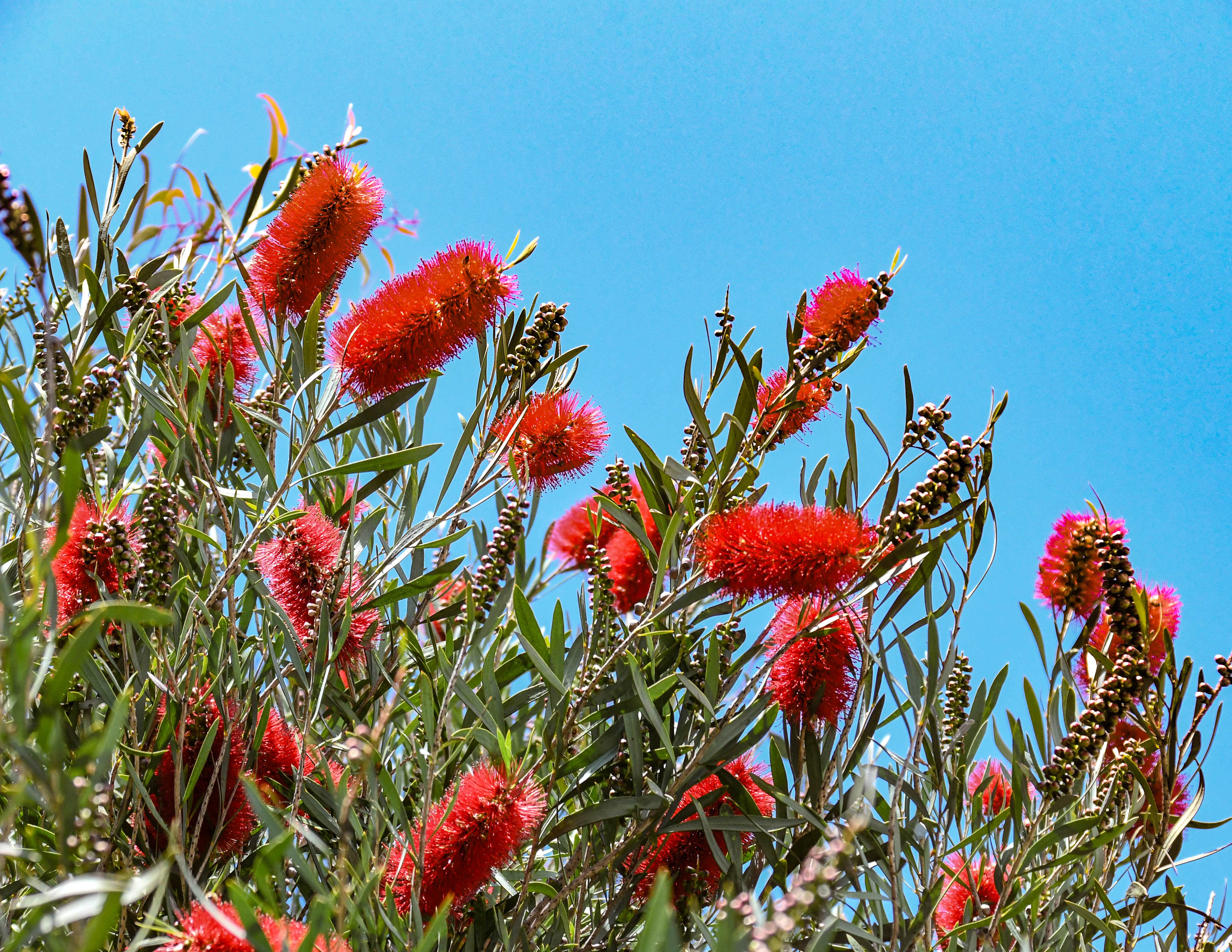 Bob's Your Uncle or is he? / myLot