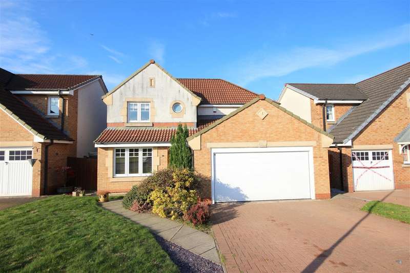 Houses for sale in Larbert, Falkirk