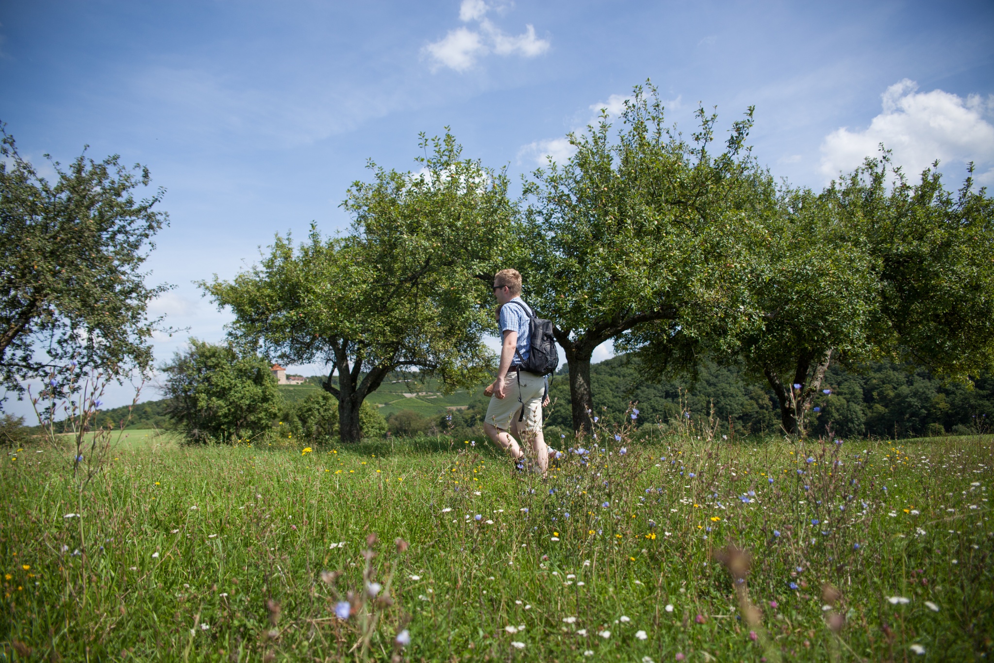 Wandern in Siegelsbach die schönsten Touren der Region