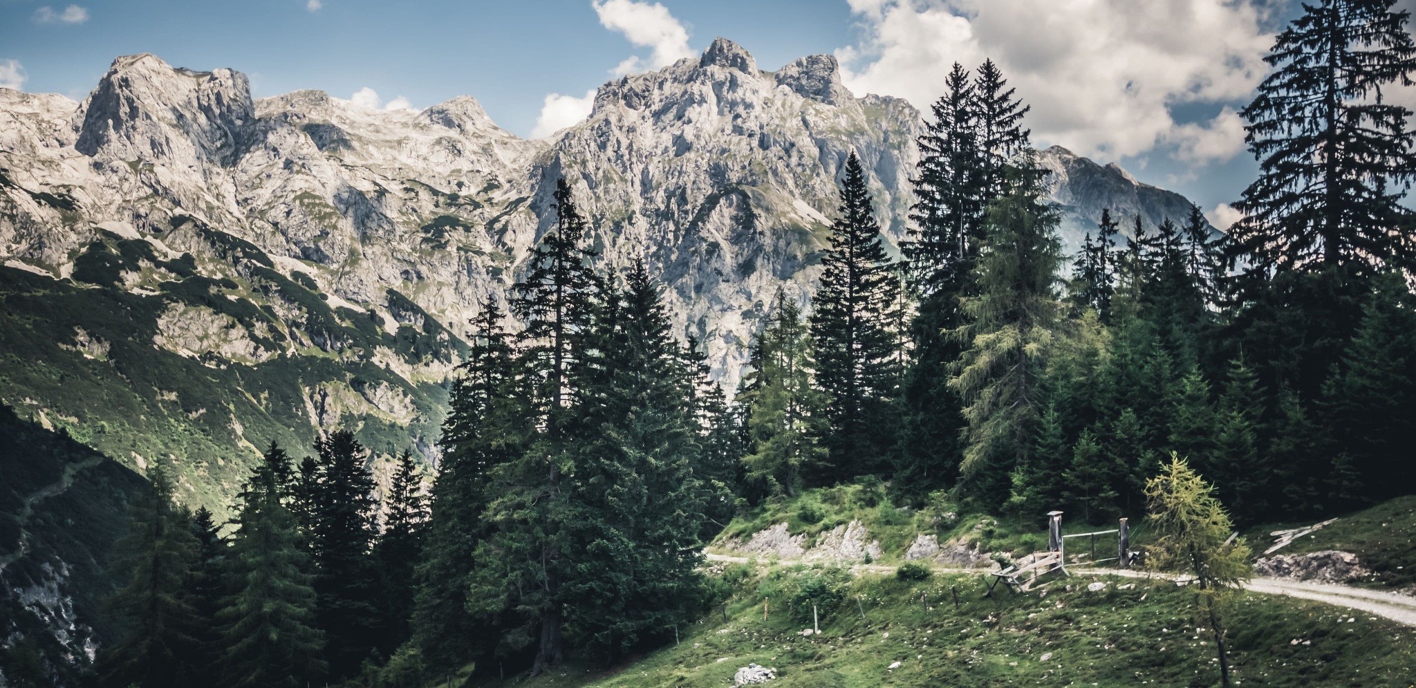 The Top Hiking Trails in Werfenweng Outdooractive