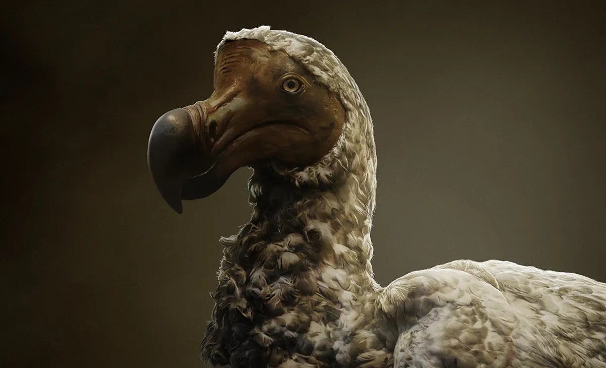 What are dodo birds? Discover extinct species and how science wants to