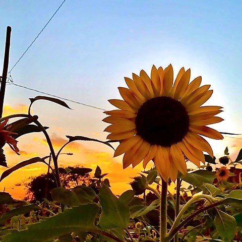 Your Perfect Match with @noah_farmer on OnlyFans Finder!