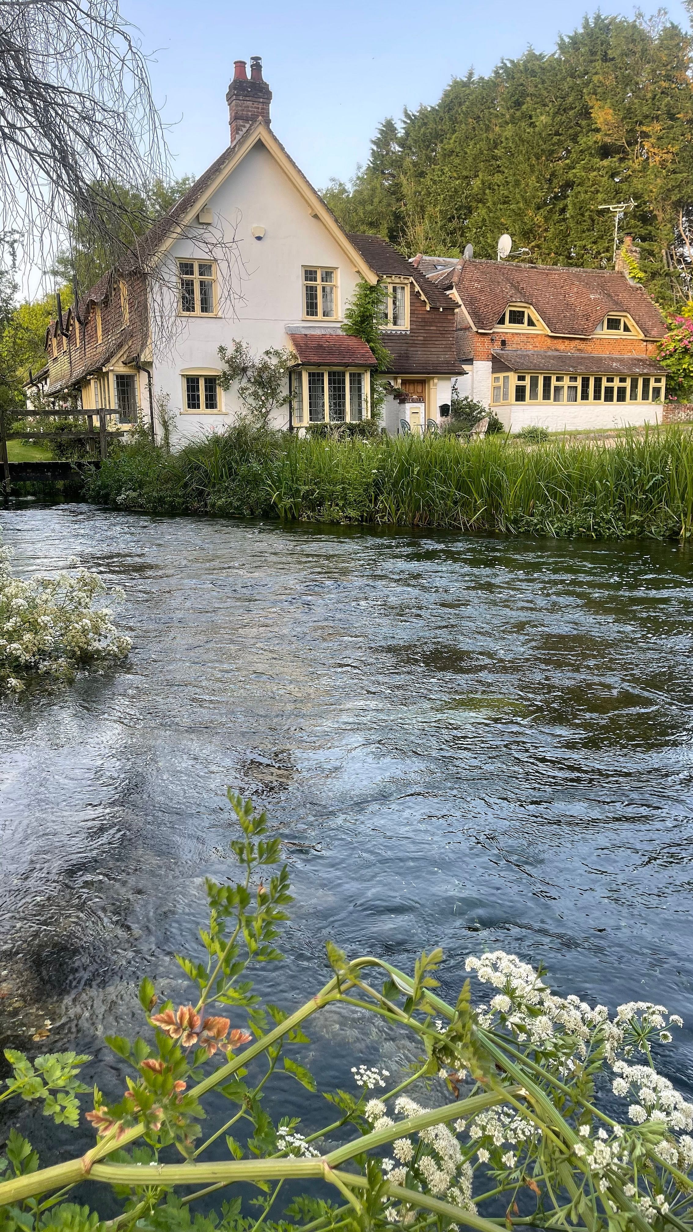 Fly Fishing Adventures Outguided