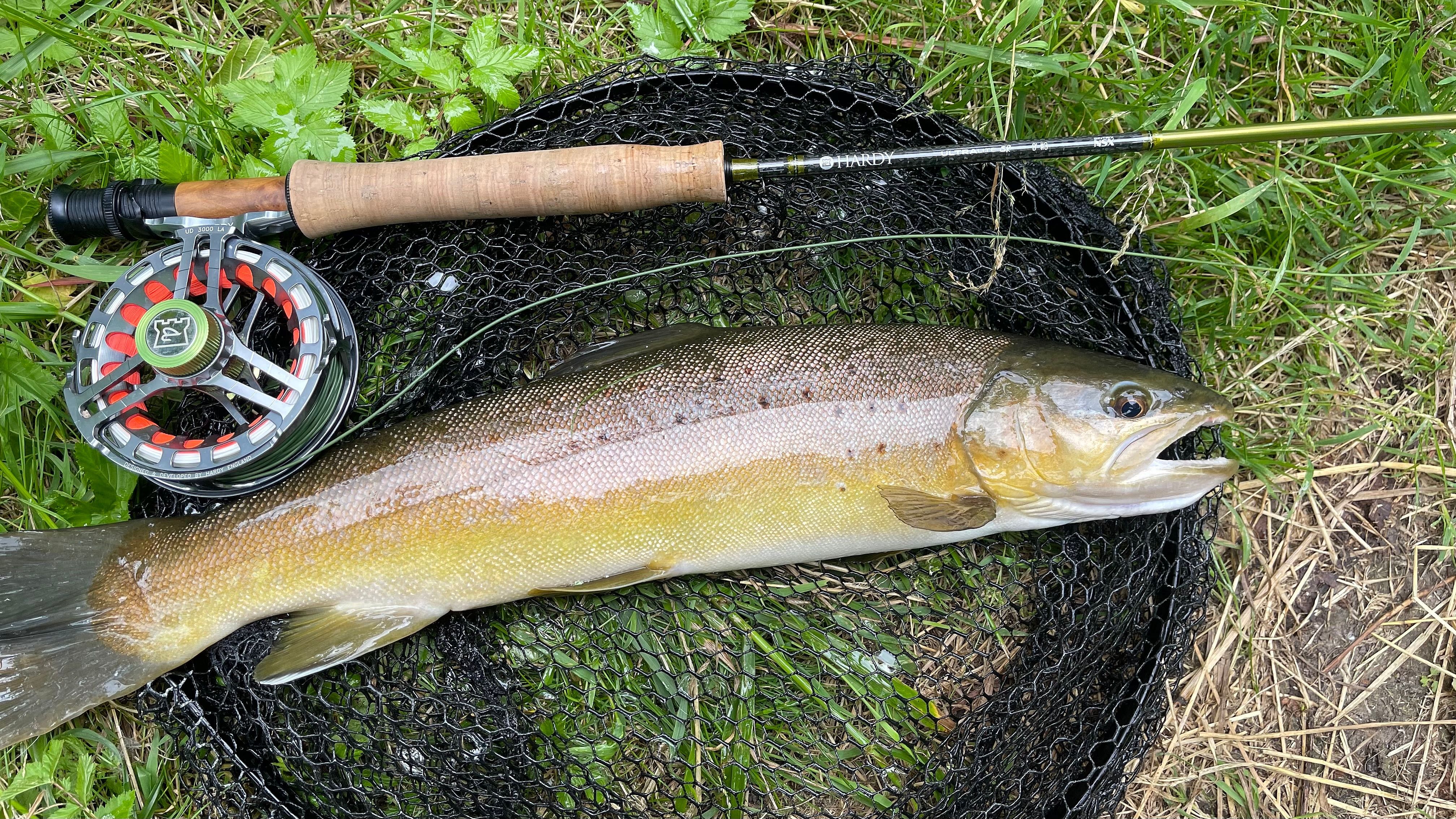Fly Fishing Adventures Outguided
