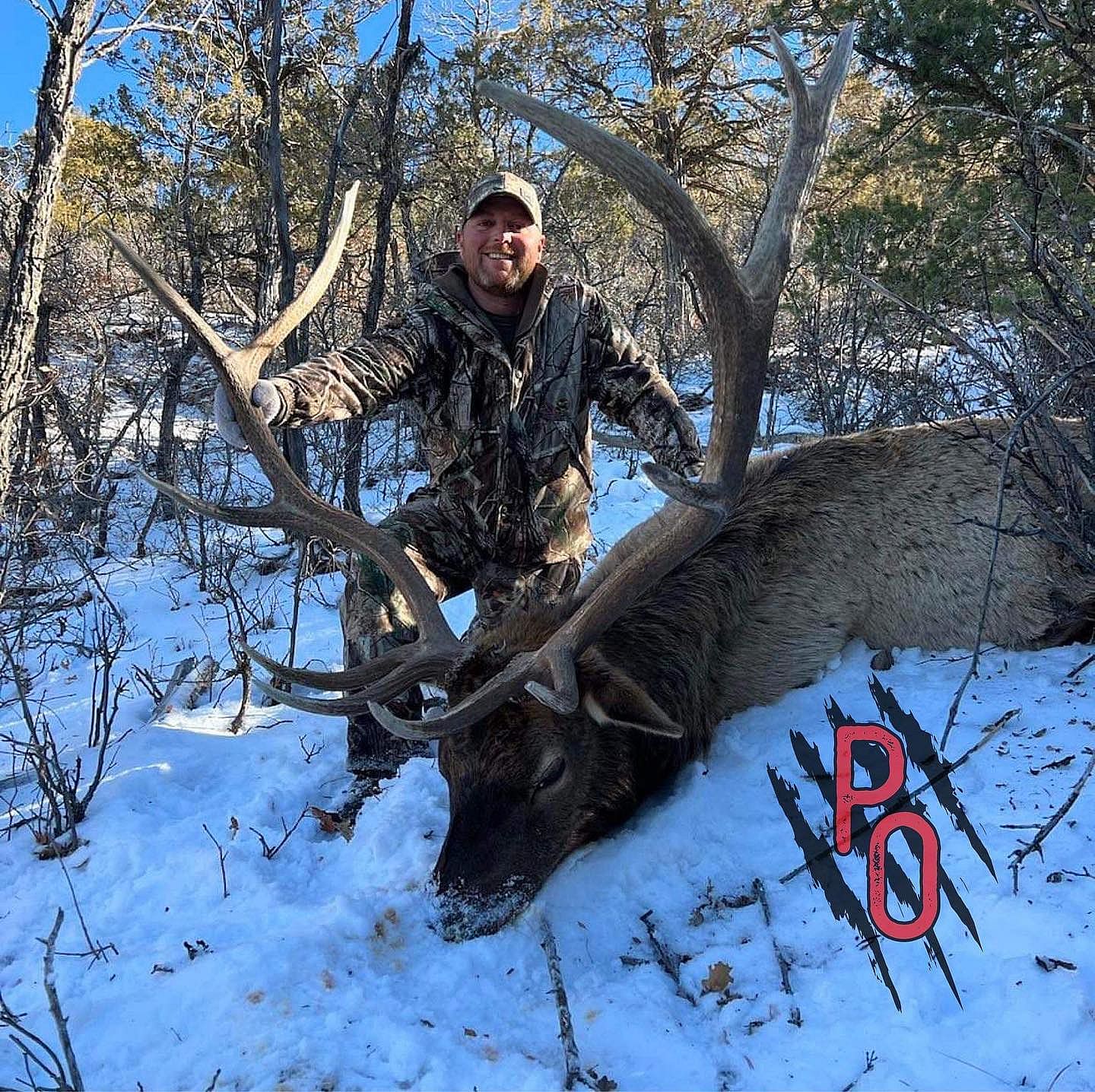 5 Day Archery Elk Hunt in New Mexico Outguided
