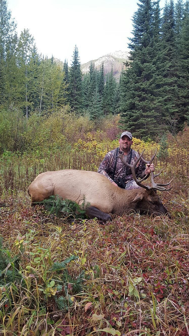 7Day Elk Hunt in BC Outguided