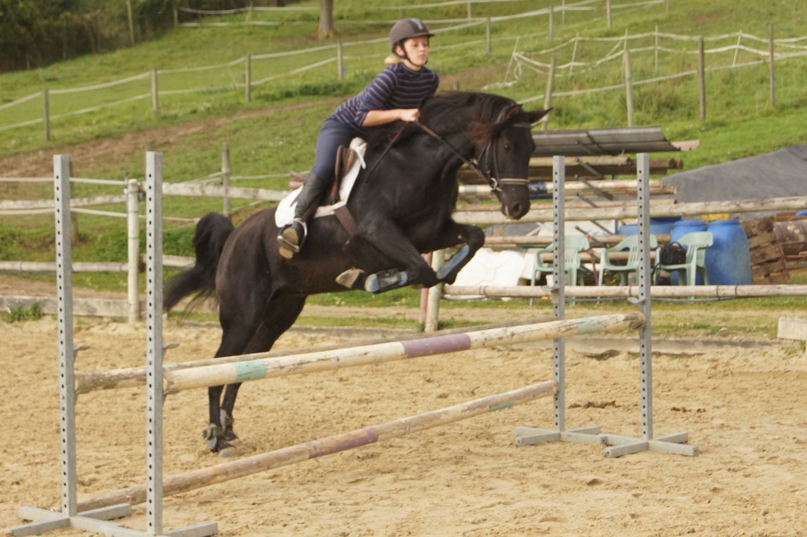 NEWS OCTOBRE 2013 le blog haras.orrouy