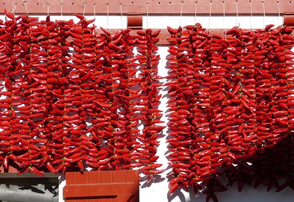 Le Rouge Basque Espelette Et La Fete Du Piment L Atelier Des