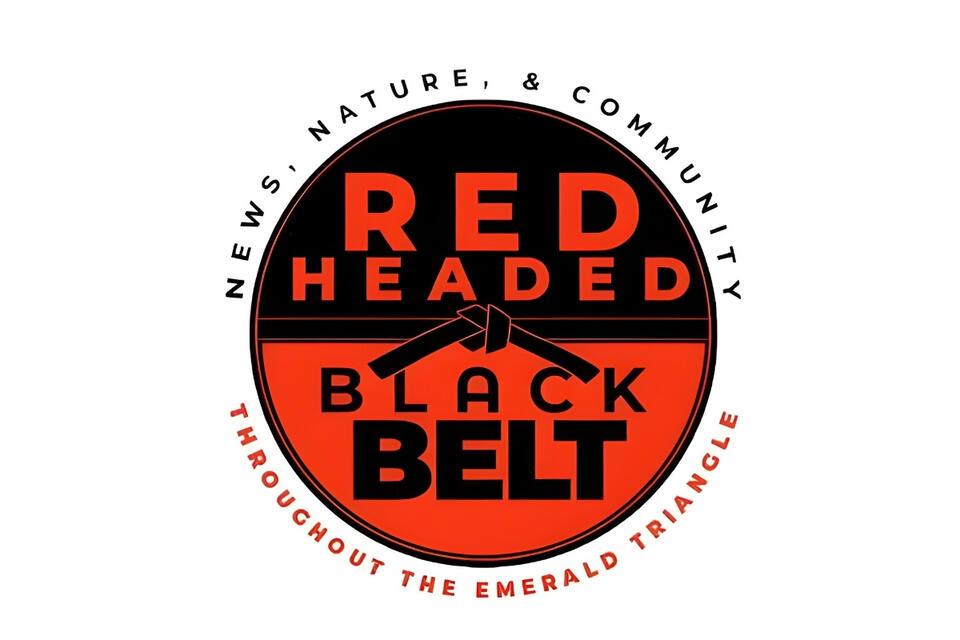25 Facts About Redheaded Blackbelt Newsbreak