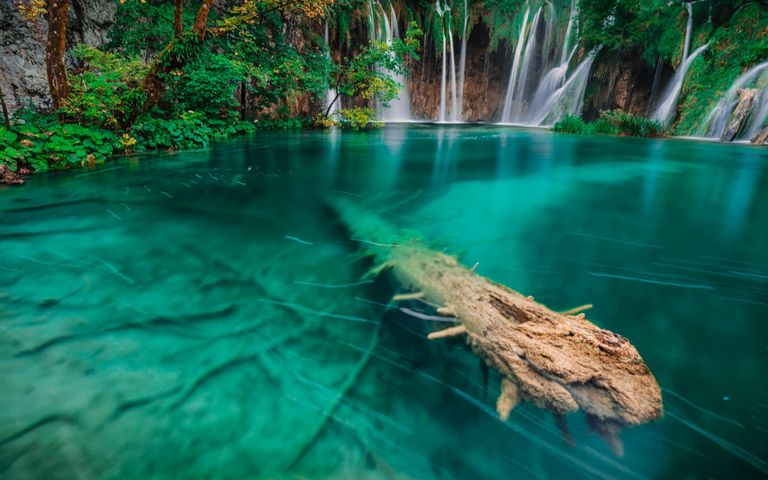 World National Parks Theme for Windows 10 Free Wallpaper Themes