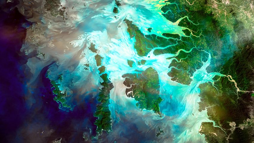 River Delta PREMIUM 4K Theme for Windows 10 Free Wallpaper Themes