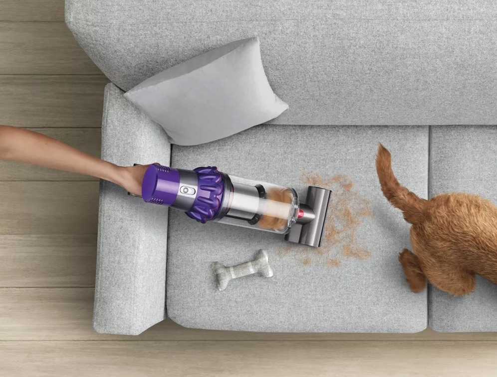 reduction on the Dyson V10 Animal 