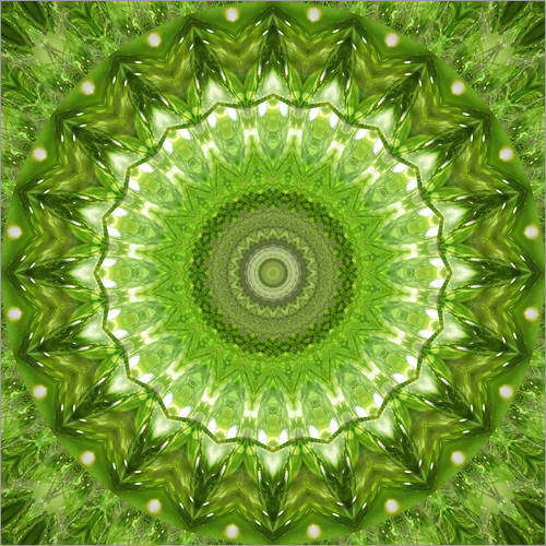 Christine Bässler Mandala grüne Wiese Poster online bestellen Posterlounge.de