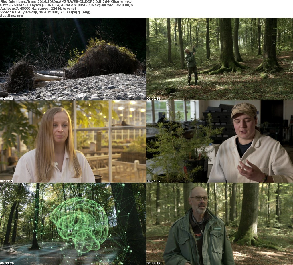 Intelligent Trees 2016 1080p AMZN WEBDL H264Kitsune ReleaseBB