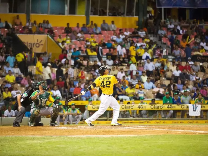 Winter Baseball Punta Cana Tours
