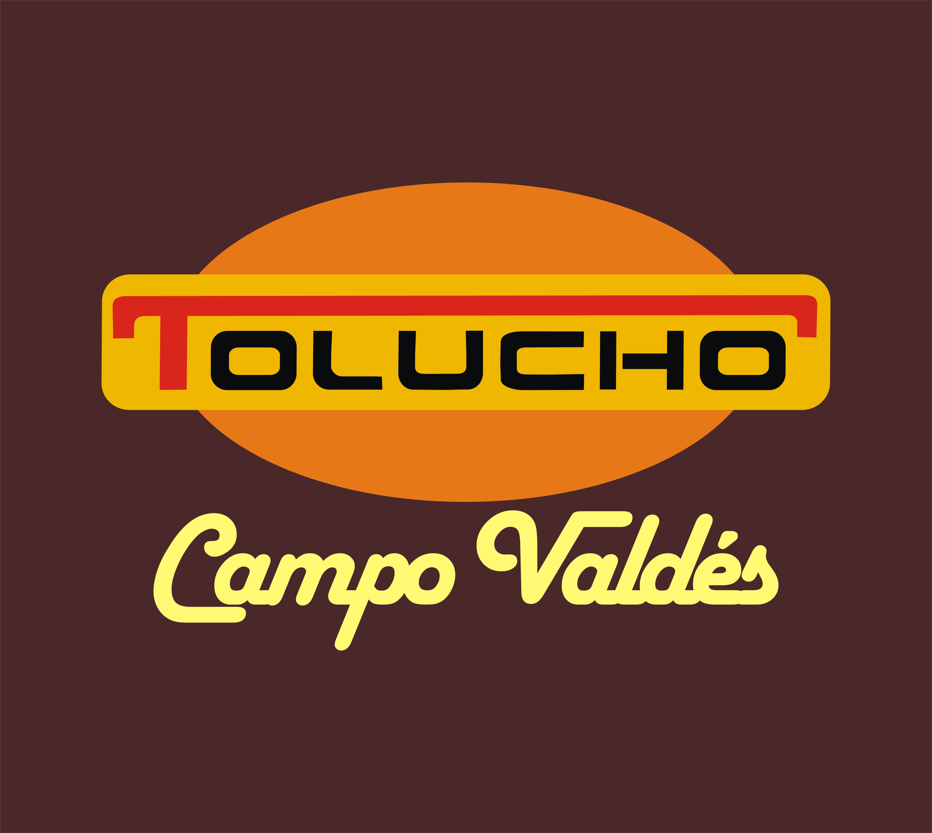 Descubre lo que Tolucho Campo Valdés Tiene Para Ti