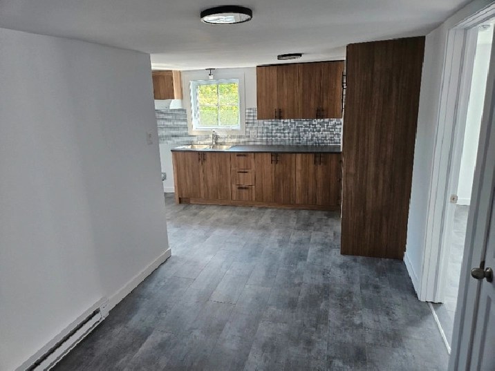 4 1/2 rénové entièrement 2023, avec bureau et walk in in Québec City,QC Apartments & Condos