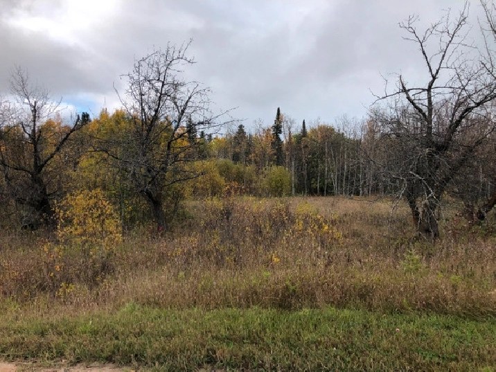 .57 ACRE BUILDING LOT IN THE RM OF LAC DU in Winnipeg,MB Land