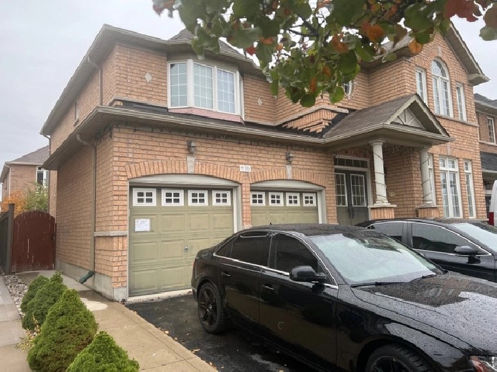 Rental basement apt in Mississauga / Peel Region,ON Apartments