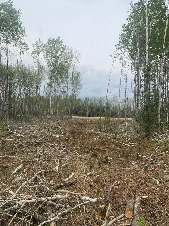 90 acres in Portage la Prairie,MB Land for Sale