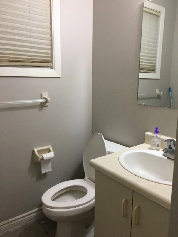 one STUDENT in 1 room for rent FANSHAWE main or downtown JAN 1st in