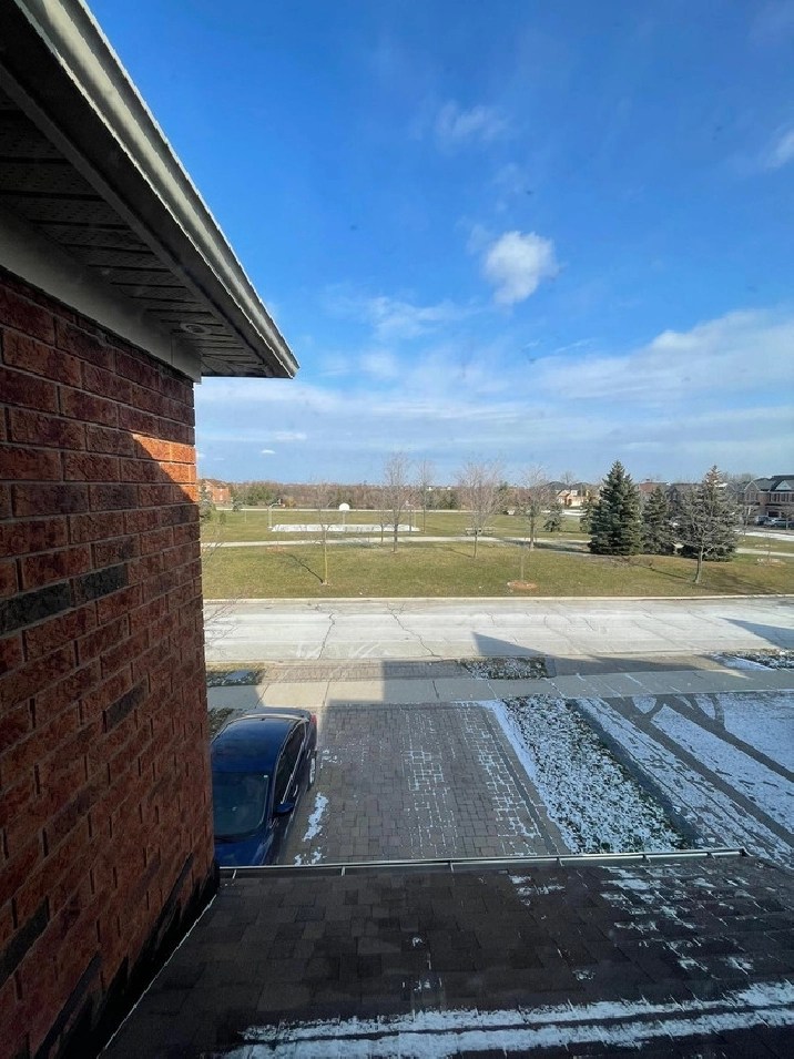 Room for rent in Mississauga / Peel Region,ON Room Rentals & Roommates