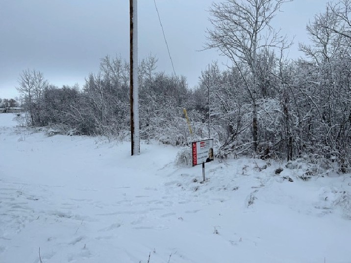 2 Acre Lot in Ste Anne RM Next To Greenspace! in Winnipeg,MB Land for