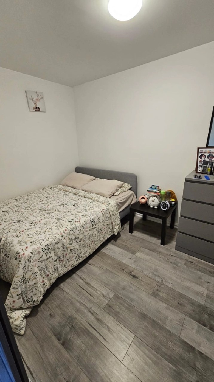 3 1/2 rénover, batisse en béton dispo 1ier Janvier in City of Montréal