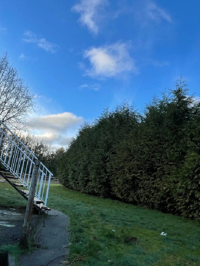 2 bed basement for rent in Delta/Surrey/Langley,BC Apartments