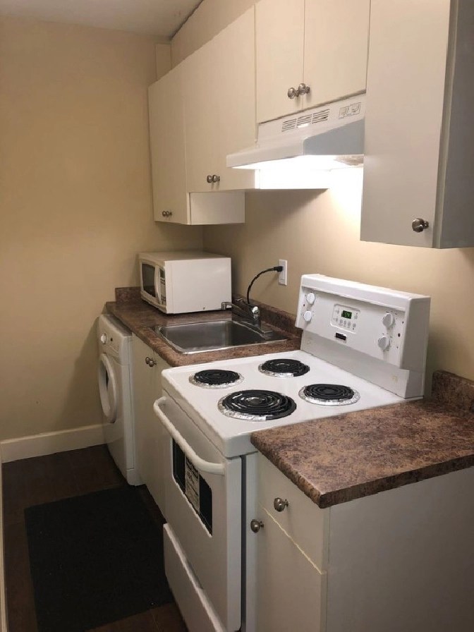 One bedroom one bath suite for rent in Burnaby/New Westminster,BC