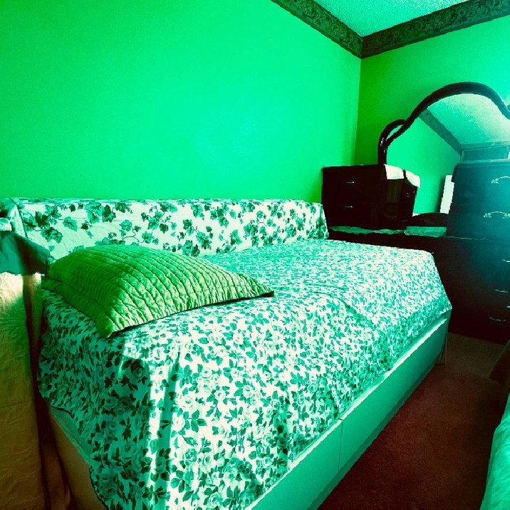 Available Room for March close to Colleges Warden and Finch in City