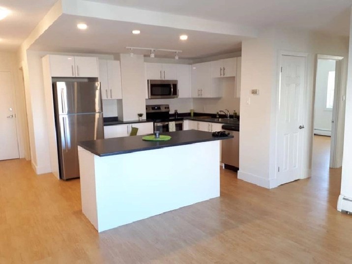 CARLETON TOWERS// BEAUTIFUL, NEWLY RENOVATED 1 BDRM! APRIL 15. in Saint