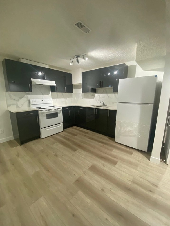 2 bedroom basement suite millwoods in Edmonton,AB Apartments & Condos for Rent