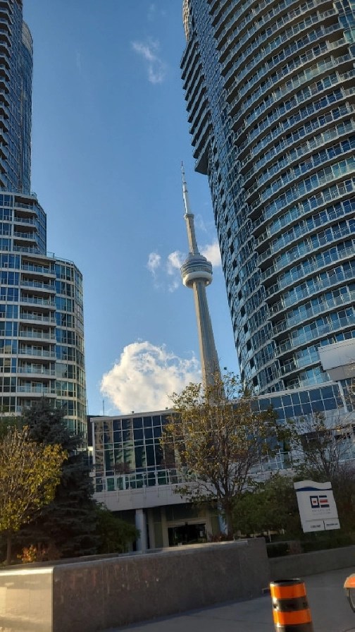 Downtown Harbourfront Room for rent shortterm in City of Toronto