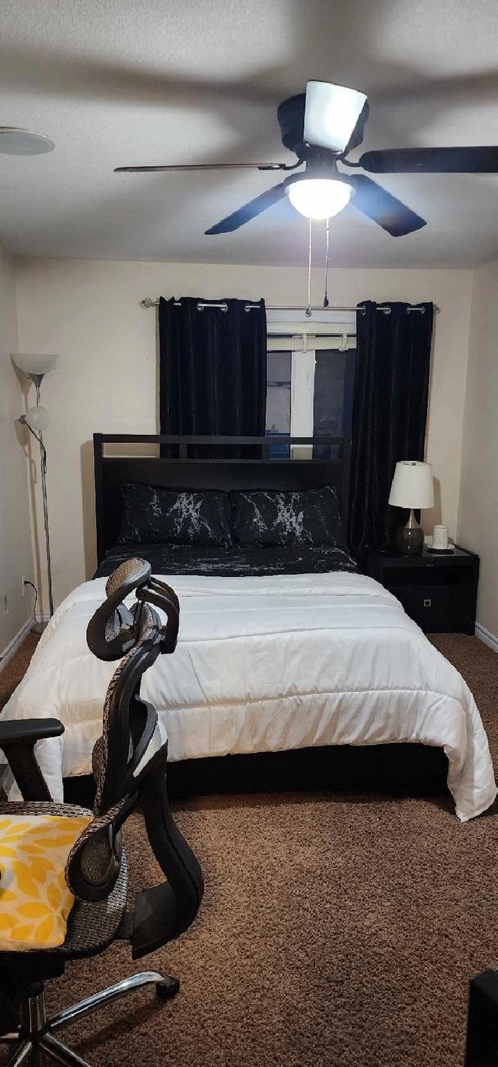 Furnished One Bedroom in Kingston,ON Room Rentals & Roommates