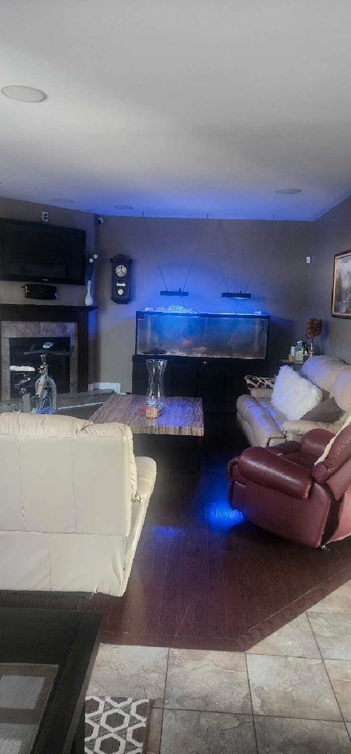 Furnished One Bedroom in Kingston,ON Room Rentals & Roommates