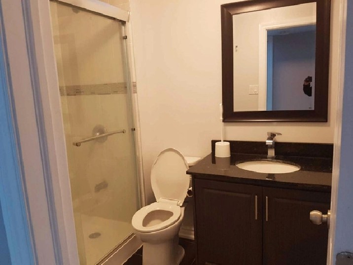 3 Bedroom walk out Basement 2 parking for rent in Stouffville in